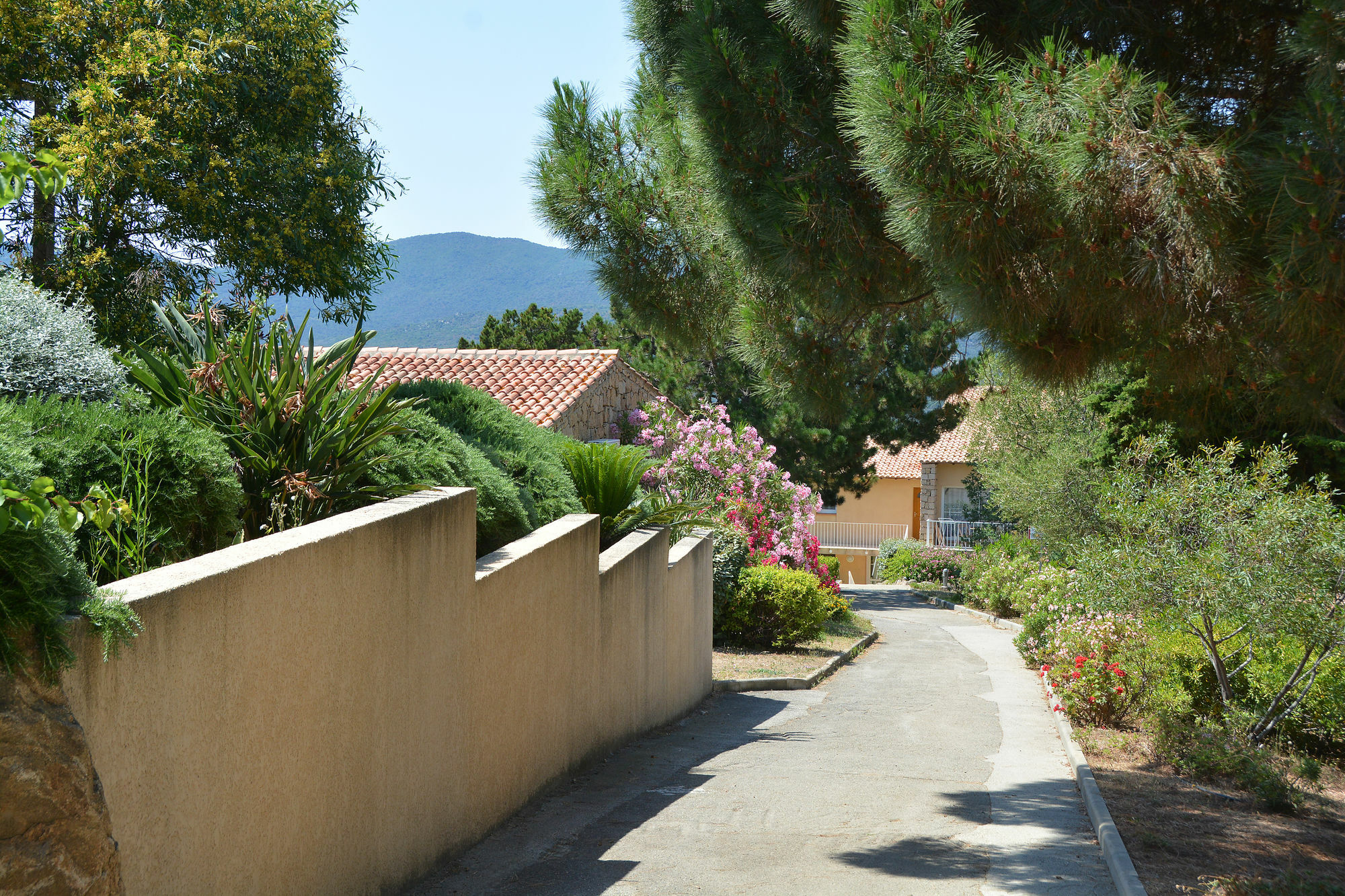 Residence Alba Rossa Serra-di-Ferro  Exterior photo